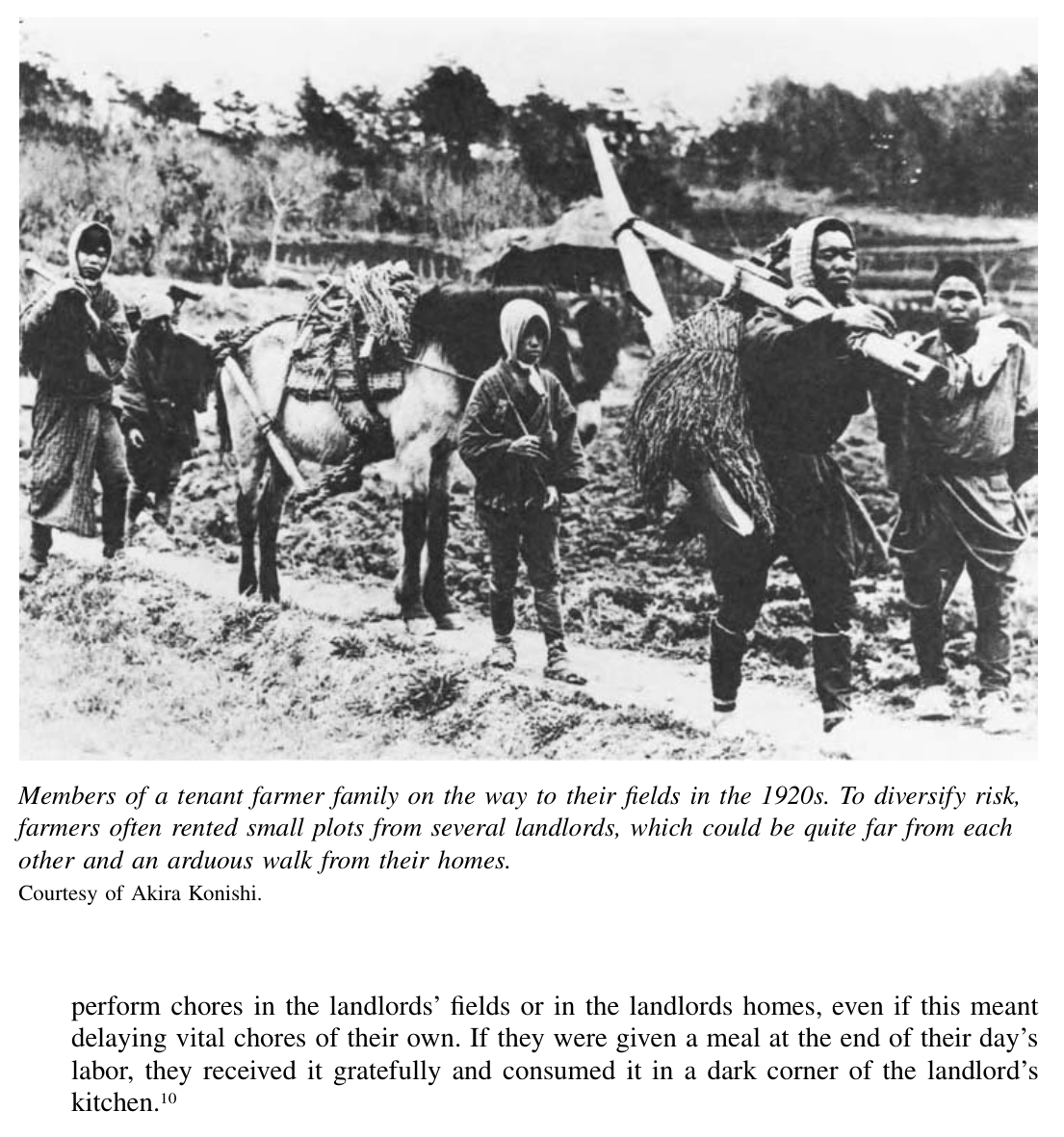 20年代，一户佃农家庭正走向自家耕地