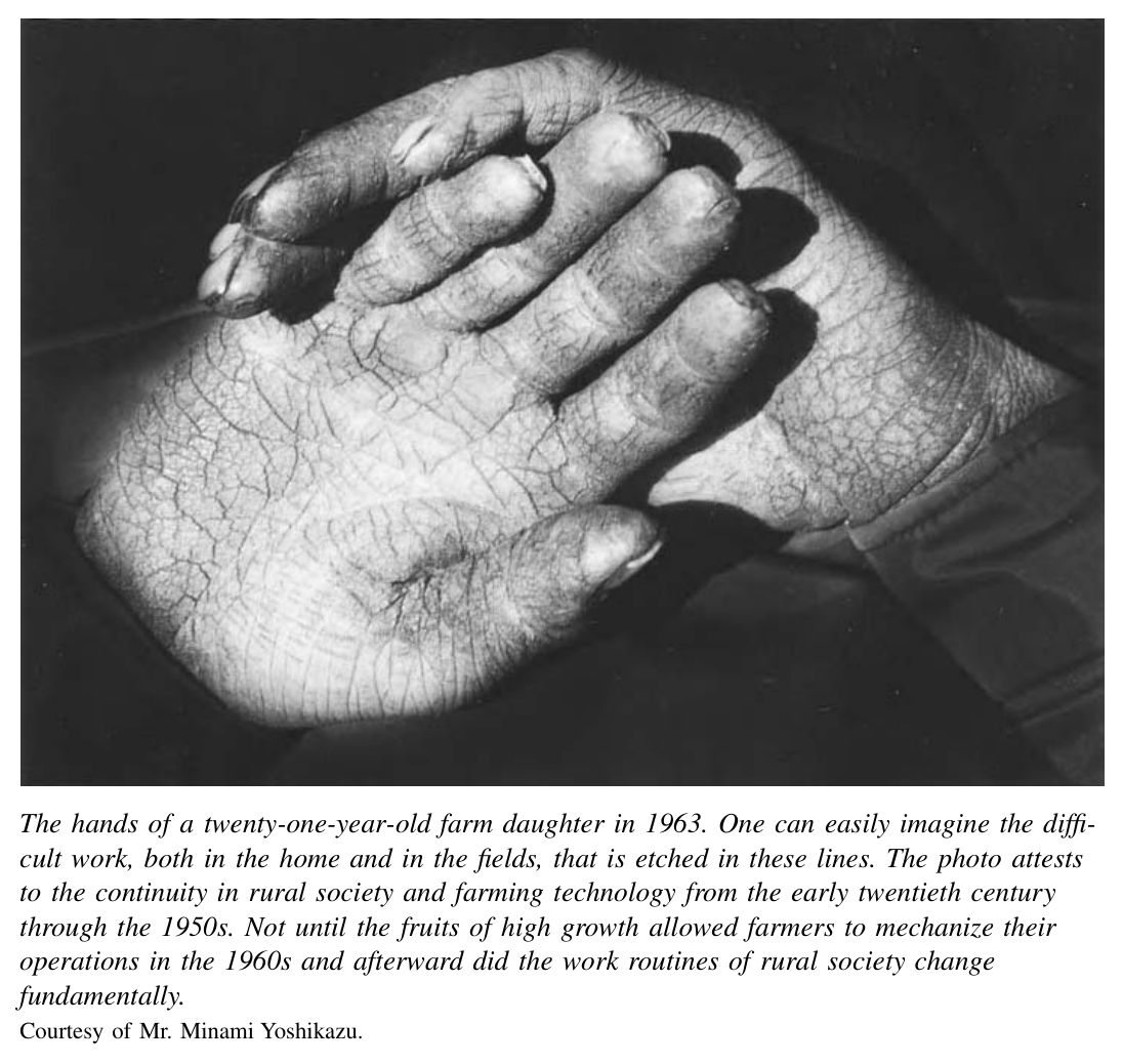 1963年，一位21岁农家女儿的双手